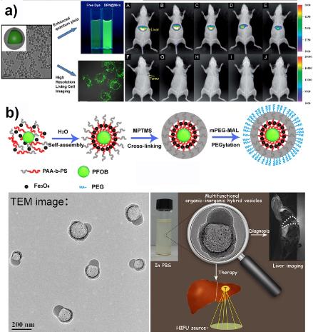 包裹荧光分子 (a)以及四氧化三铁/氟碳共封装(b)的纳米杂化胶束/囊泡